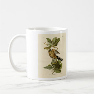 Caneca De Café Mangrove Cuckoo das Aves da América de Audubon