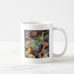 Caneca De Café Mar Anêmona Natureza Científica Oceânica