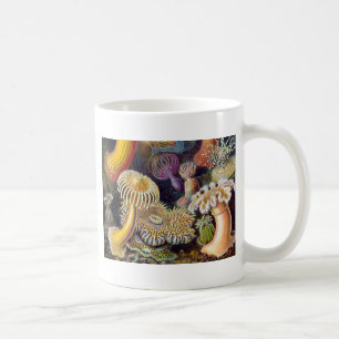 Caneca De Café Mar Anêmona Natureza Científica Oceânica
