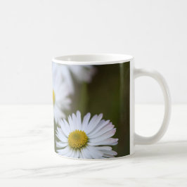 Caneca De Café Margaridas Flor Floral Nature Fotografia