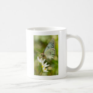 Caneca De Café Mariposa Verde em Falsa Alho Roupas e Presentes