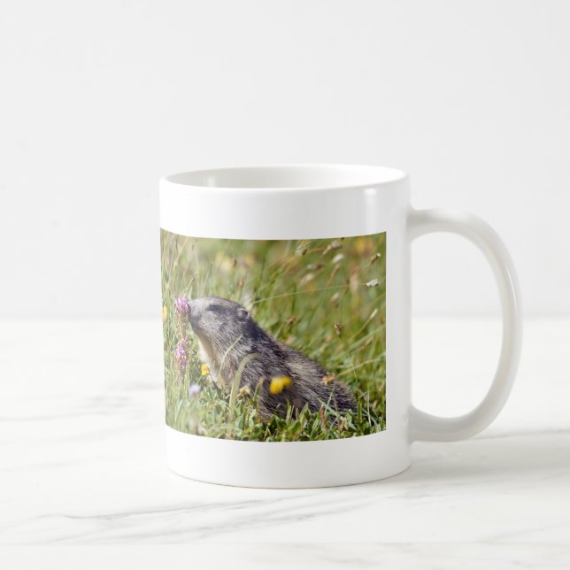 Caneca De Café Marmota alpina perto da flor (Direita)