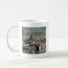Caneca De Café Marreca-pintada-americana