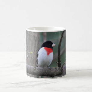 Caneca De Café Mata de Grosbeak de Breado Vermelho