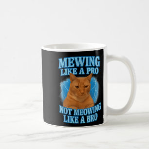 Caneca De Café Medo Não Significa Memória De Gato Engraçado