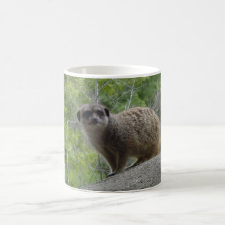 Caneca De Café Meerkat