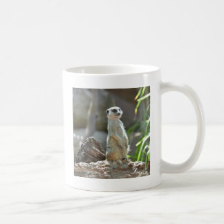 Caneca De Café Meerkat
