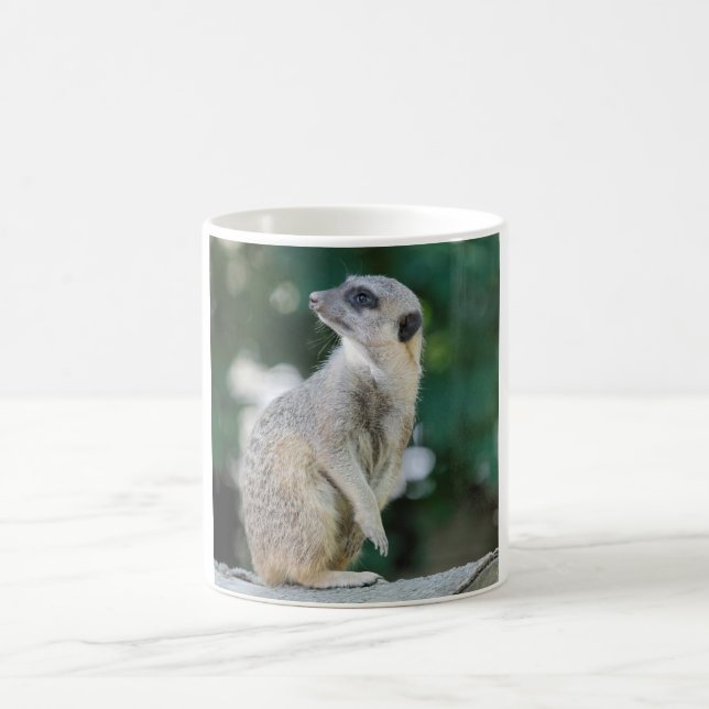 Caneca De Café Meerkat_2015_0103 (Centro)