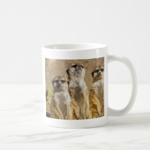Caneca De Café Meerkats
