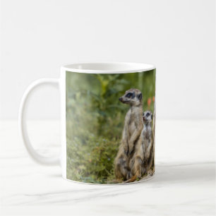 Caneca De Café Meerkats
