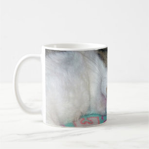 Caneca De Café Mel Dormindo