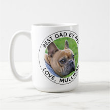 Melhor Pai De Foto De Cão Personalizado Por Par Pr