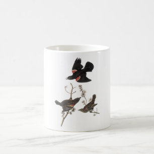 Caneca De Café melro Vermelho-voado por Audubon