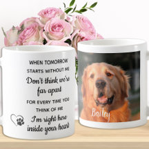Memorial de Pet de Foto Personalizado