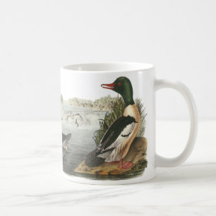 Caneca De Café Merganso comum, John Audubon