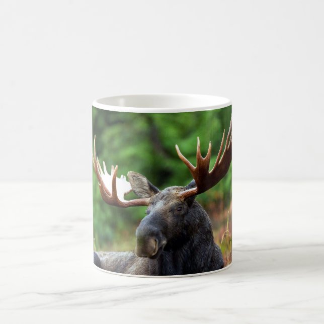 Caneca De Café Moose Coffee Mug (Centro)