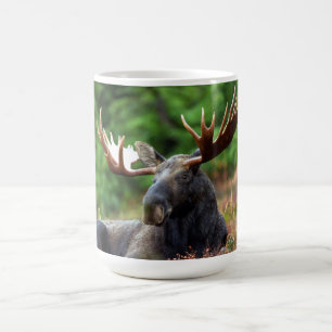 Caneca De Café Moose Coffee Mug