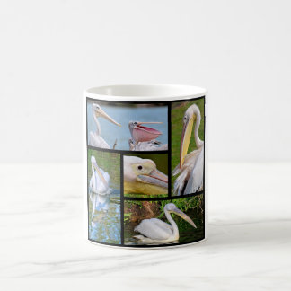 Caneca De Café Mosaico fotográfico de pelicanos