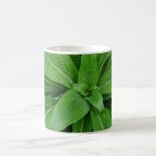 Caneca De Café Mug de café branco de planta verde