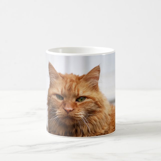Caneca De Café Mug de Gato Florestal Norueguês (Centro)