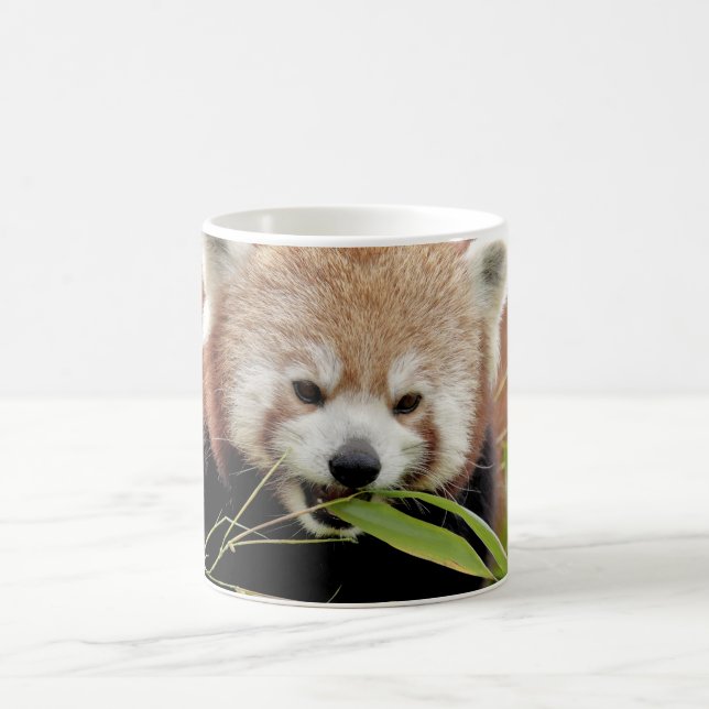Caneca De Café Mug Photo Red Panda, animais. (Centro)
