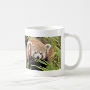 Caneca De Café Mug Photo Red Panda, animais 0397.