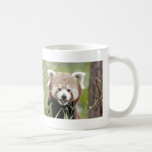 Caneca De Café Mug Photo Red Panda, animais 0400.