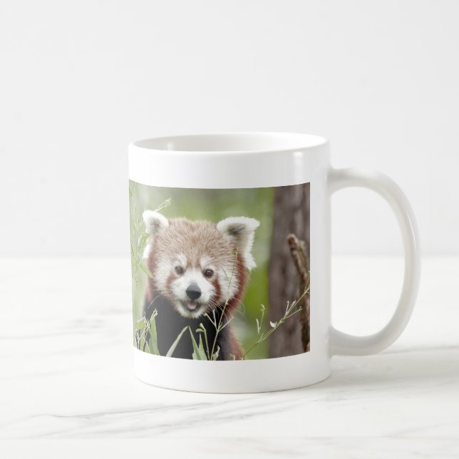 Caneca De Café Mug Photo Red Panda, animais 0400. (Direita)