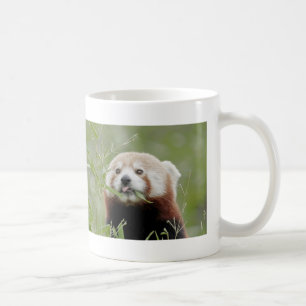 Caneca De Café Mug Photo Red Panda, animais 0401.