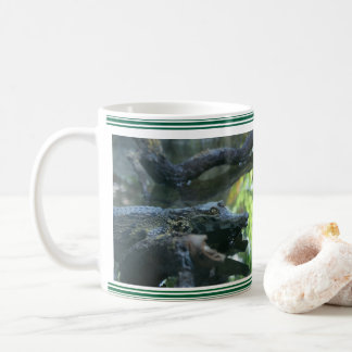 Caneca De Café Mug Photographie crocodile
