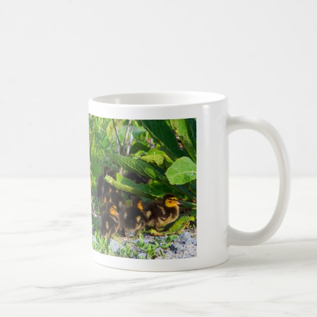 Caneca De Café Muita Foto de Ducklings (Direita)
