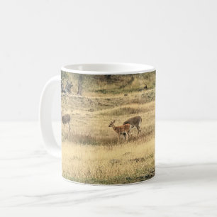 Caneca De Café Mule Deer em um campo, Joseph, Oregon