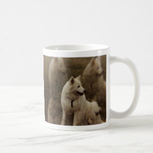 Caneca De Café Multi-imagem do Samoyed, multi-imagem do Samoyed