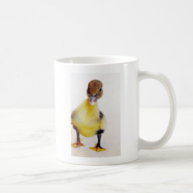 Caneca De Café Muscovy Ducking (Direita)