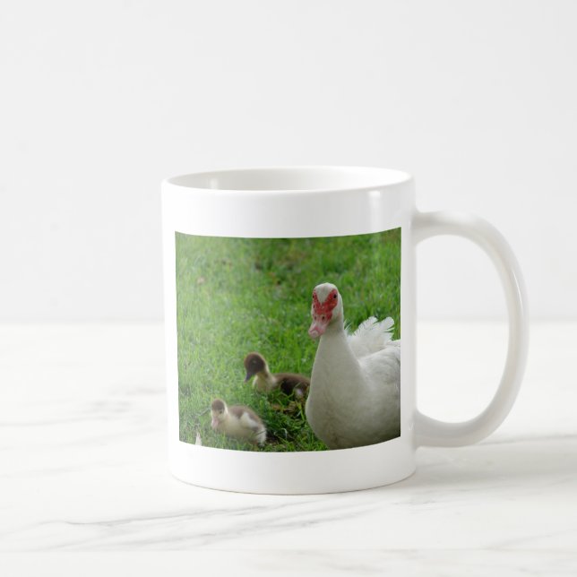 Caneca De Café Muscovy Hen E Ducklings (Direita)