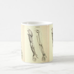 Caneca De Café Músculos da anatomia do vintage e ossos do braço