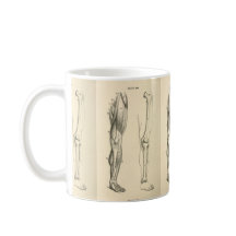 Músculos da anatomia | do vintage e ossos do pé