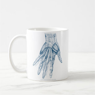 Caneca De Café Músculos da arte da anatomia do vintage do azul d