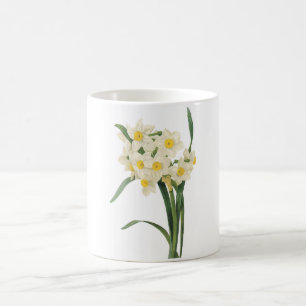 Caneca De Café narciso (tazetta do narciso) por Redouté