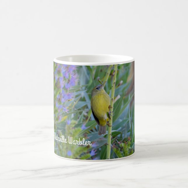 Caneca De Café Nashville Warbler (Centro)