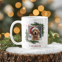Natal Moderno para Animais de Estimação – Presente