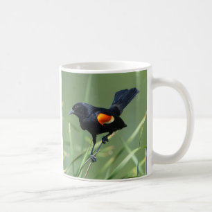 Caneca De Café Nature Journey Red-Winged Black Bird