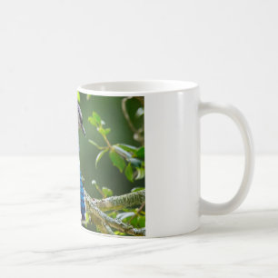 Caneca De Café Natureza Fotografia Shy Blue Jay Roupa presente
