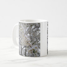 Neve sobre Flores