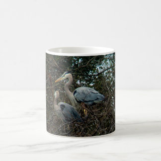 Caneca De Café Ninho de Pássaros Azuis em Árvores