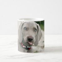Nome personalizado da foto do cão de Weimaraner e