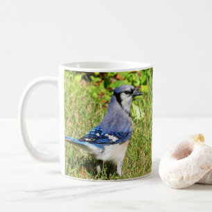 Caneca De Café Norte Blue Jay