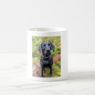 Caneca De Café O Cachorro Personalizado - O Presente Perfeito De