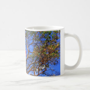 Caneca De Café O Canadá - Mug