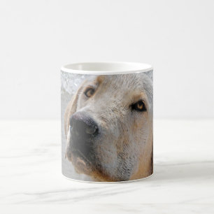 Caneca De Café O melhor amigo do homem